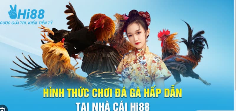 Quy Tắc Chơi Đá Gà Mã Thương Hi88